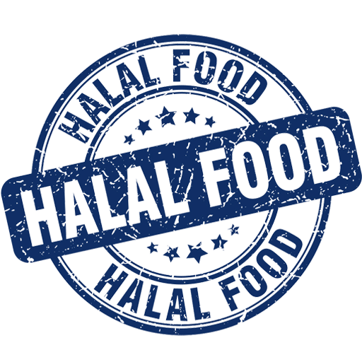 halal food in New York City, USA